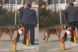 俩醉汉忘我热聊打包食物被狗偷吃 拍摄者：食物都快被吃完了视频封面