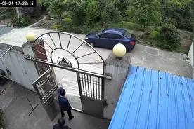 狗狗临终前独自默默离家，回头留恋看最后一眼，与主人互望告别视频封面