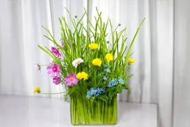 【大叔说花】瓶插花43/自然风格/芹菜矢车菊蓝星花/打格法视频封面