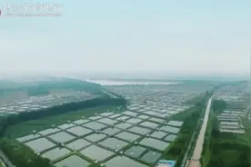 百年初心视频封面