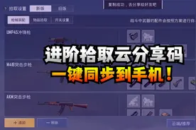 新版拾取方案分享码来了！主播解说都在用！