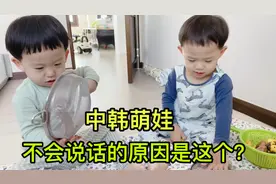 中韩双胞胎萌娃两岁多，为啥还不会说一句话？小雪给大家回应为啥视频封面