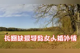 长期缺爱导致女人婚外情视频封面