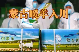羊羊羊来了！蒙古国捐赠羊肉到达四川，这么多肉肉怎么分？视频封面
