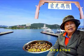 90岁阿嬷卖茶叶蛋60年，一锅煮500个茶叶蛋!来日月潭不吃等于白来视频封面