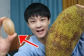 菠萝蜜的核别再扔了：煮一下，跟糖炒板栗一样软糯好吃