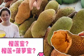 试吃海南新奇水果榴莲蜜，三亚菜场卖10元，菠萝蜜和榴莲嫁接的？视频封面