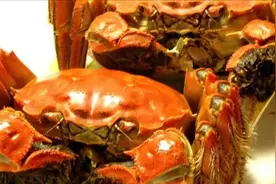 螃蟹蒸好了，教你三合油的精准调制，鲜味不败螃蟹。鲜，香！