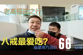 老高连夜坐飞机到福建晋江，团队相聚其乐融融，南方车友有福了视频封面