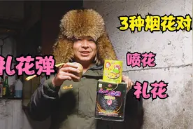 东北小伙放3种烟花做对比，最后还是礼花弹赢了，炸开的瞬间真美视频封面