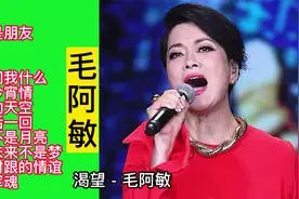 毛阿敏经典歌曲《渴望/永远是朋友/女人不是月亮》等12首视频封面