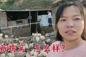 人多就是好，一家老小齐上阵，鸡窝终于大功告成了视频封面