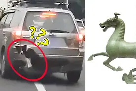 狗狗被主人“挂”在车尾 交警：狗掉毛，司机怕弄脏车，已处罚视频封面