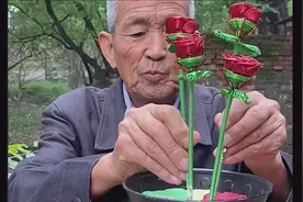 爷爷为奶奶制作永不凋谢的花，好看吗？视频封面