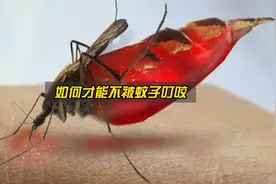 如何防止被蚊子叮咬？这4个妙招一定要记住！视频封面