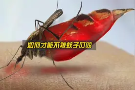 如何防止被蚊子叮咬？这4个妙招一定要记住！视频封面