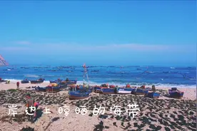 海带之乡大钦岛之二，走近海洋牧场，跟着渔船去体验收海带视频封面