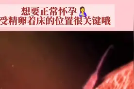想要正常怀孕，受精卵着床的位置很关键哦！视频封面