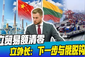 中立贸易额降至0.3%，立陶宛外长洋洋自得：我们被中国全力对付了视频封面
