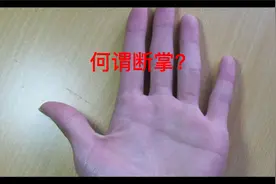 教你看懂断掌视频封面