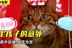 美女竟找兽医看人病？医生：这不是我的业务范畴视频封面