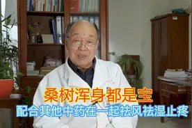 桑树浑身都是宝，从桑叶到桑树皮，药用价值都极高！视频封面