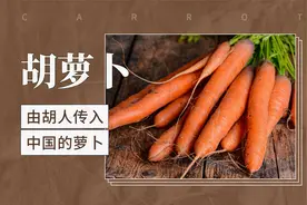 胡萝卜——由胡人传入中国的萝卜视频封面