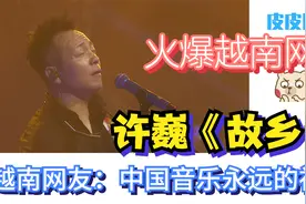 最近许巍演唱《故乡》火爆越南网，越南网友：中国音乐永远的神视频封面