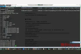 如何启用CA认证中心功能进行证书签名视频封面
