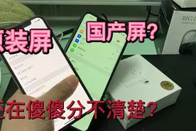 【科普】进来教你一秒分辨国产屏，百试百灵，小白必学视频封面