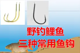 野钓鲤鱼最常用的三种鱼钩，学会灵活应用，大鱼上岸很简单