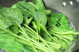 做菠菜时，为什么先焯水？学会第2点的妙招，不然发黑发蔫还难吃视频封面