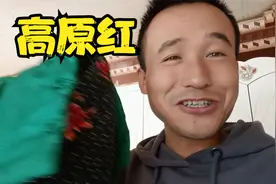 甘肃人为啥都叫高原红？其实问题都出这，听听二蛋说的对不对视频封面