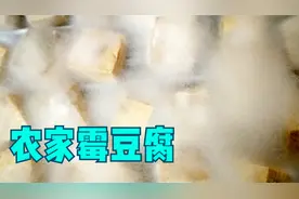 农家霉豆腐做法，5种调料，不用稻草，自然发酵，看一眼就解馋视频封面