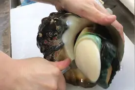 大厨切“海蜗牛”，先敲几下醒醒神，趁它不注意，一刀挖下，厉害视频封面