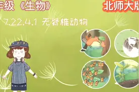 八年级《生物》：无脊椎动物。小初全科动画课程，让学习轻松有趣视频封面