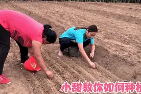 农家小甜教你大蒜种植，这样种出苗齐产量高，看看她是如何种植的视频封面