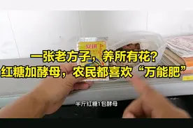 一张方子，养所有花？红糖加酵母，农民都喜欢的“万能肥”