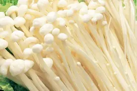 挑选新鲜的金针菇有窍门，记住这几点，买到的金针菇安全健康