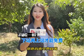 高速免费 需要先下站再上站视频封面