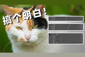 3分钟彻底搞懂，对比度/清晰度/锐度/去朦胧/纹理究竟是什么？！