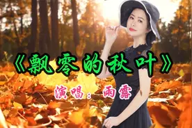一首《飘零的秋叶》唱出了秋天的意境，太好听了！雨路原唱完整版