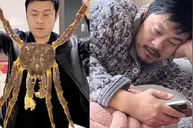 女子晒老公封前封后对比照，帅小伙变糟老头，网友：喜提新老公