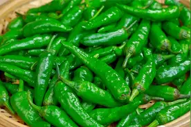 豆豉煎辣椒正确的做法，做出来鲜辣开胃，好吃又下饭，做法简单