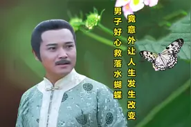 只因好心救下落水蝴蝶，竟让男子得到四句赠言，顺利躲过牢狱之灾视频封面