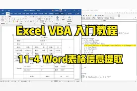 Excel VBA入门教程，批量提取word文档中信息，计算平均年龄视频封面