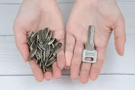 你还再手剥瓜子？只用一把钥匙，几分钟剥出一大盘，干净又不伤手视频封面