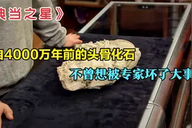 一块来自4000万年前的头骨化石，在当铺能值多少钱呢？典当之星视频封面