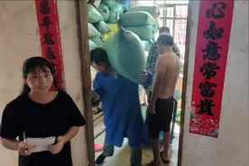 江西农村卖稻谷，1万多斤的优质水稻，看看卖到了多少钱？