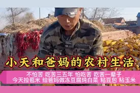 如果你怕吃苦 啥也不想做  容易吃苦一辈子 大家觉得我说的对不对视频封面